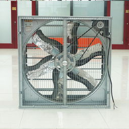 负压风机在工业养殖中的关键作用 降温换气与环保设备解析