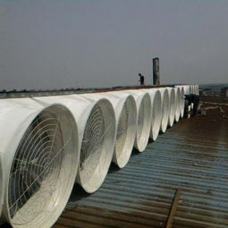 池州、安庆、仪征地区通风降温与排烟换气设备全攻略